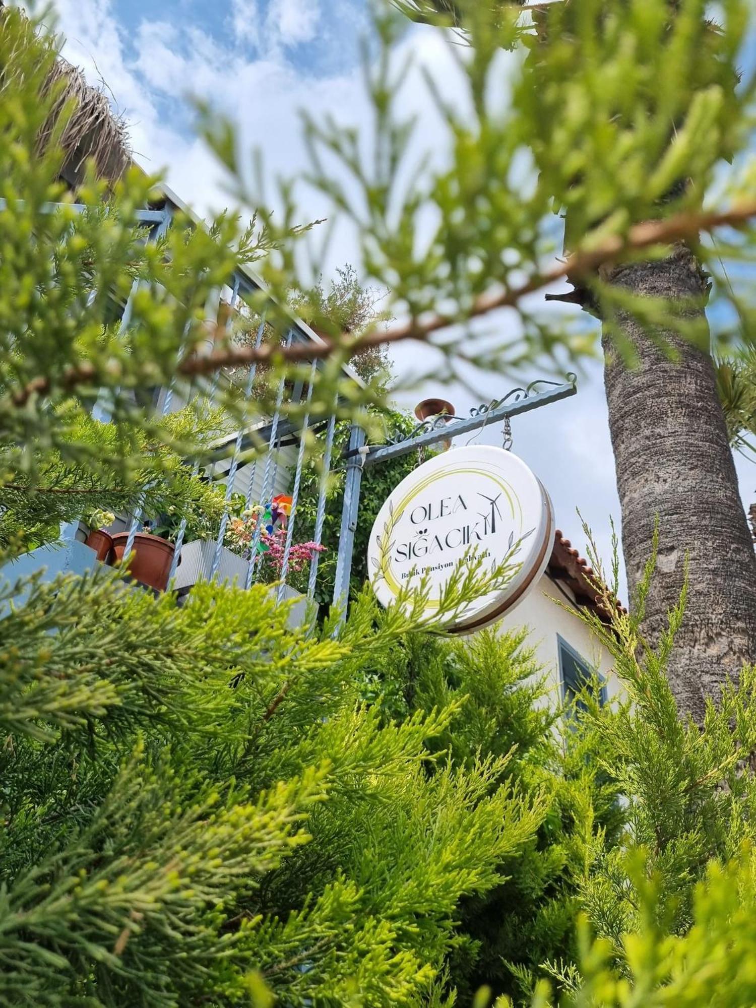 Olea Sigacik Pansiyon & Bistro Seferihisar Exterior foto
